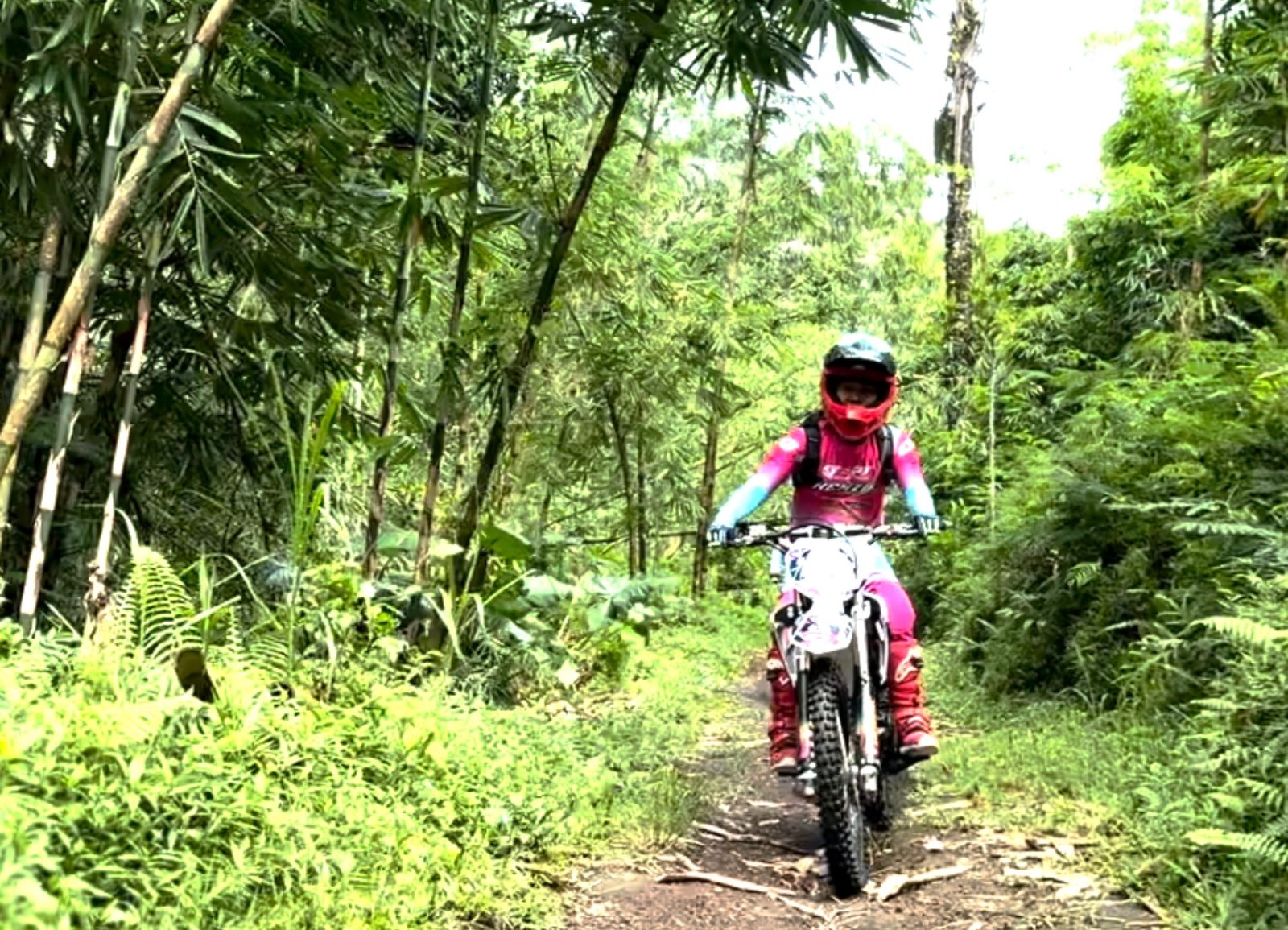 hutan bambu (2)