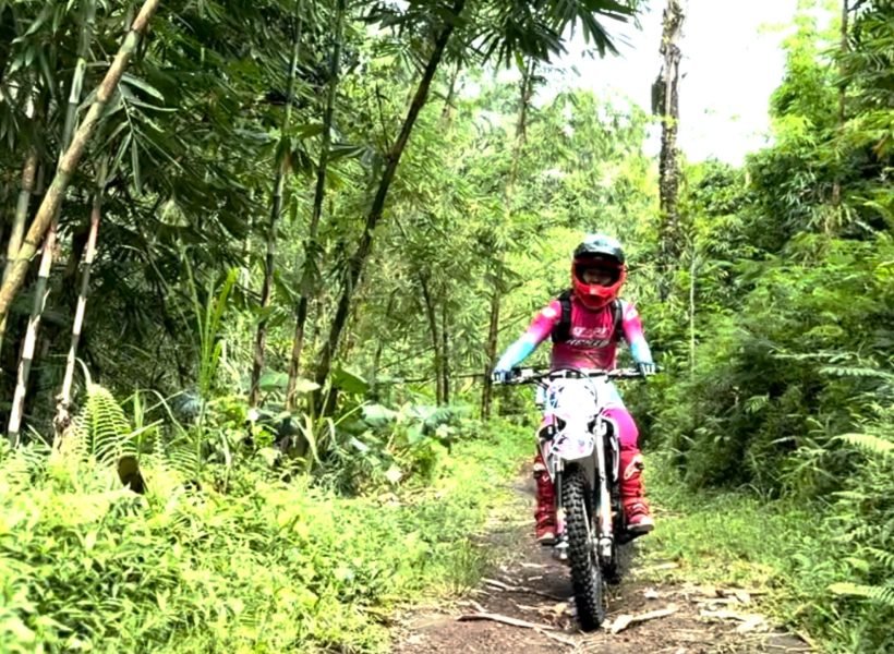 hutan bambu (2)